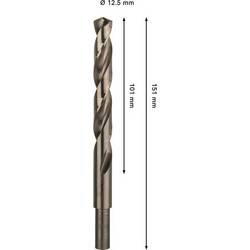 Bosch Accessories 2608577619 2608577619 HSS-Co kovový spirálový vrták Celková délka 152 mm 1 ks
