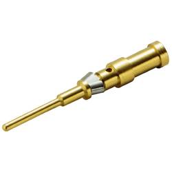 Weidmüller SAI-M12-KSC-0.34/0.5 neupravený zástrčkový konektor pro senzory - aktory, 1468860000, 100 ks
