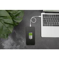 Digitus USB kabel USB 2.0 USB-C ® zástrčka 1.00 m bílá dvoužilový stíněný, s USB, PVC plášť DB-600109-010-W