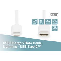 Digitus USB kabel USB 2.0 USB-C ® zástrčka 1.00 m bílá dvoužilový stíněný, s USB, PVC plášť DB-600109-010-W
