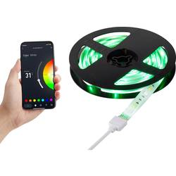 RGBW Tuya-App Stripes SY-4755426 LED lišta konektor 230 V 2 m RGBW, teplá bílá, studená bílá 1 ks
