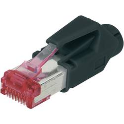 Digitus A-MO6 8/8 HRS, RJ45 konektor, zástrčka, rovná, červená, 1 ks