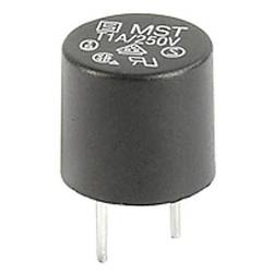 Schurter 0034.6605 0034.6605 mini pojistka THT 0.10 A 250 V/AC T pomalá 10 ks