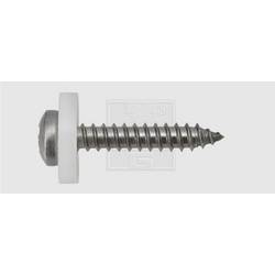 SWG 126392220 šroub okenního parapetu 3.9 mm 22 mm křížová drážka Pozidriv nerezová ocel A2 100 ks