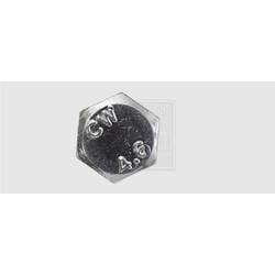 SWG 78106010 šestihranný šroub 10 mm 60 mm vnější šestihran DIN 601 ocel pozinkované 50 ks