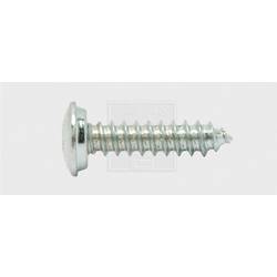 SWG 103481325 šrouby do nástěnných štítků 4.8 mm 13 mm křížová drážka Philips ocel pozinkované 100 ks