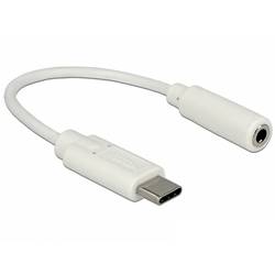 Delock USB 2.0 adaptér [1x USB-C® zástrčka - 1x jack zástrčka 3,5 mm] 65913 0.14 m