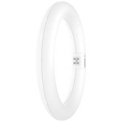 OSRAM HOMELIGHTING LED trubice Energetická třída (EEK2021): E (A - G) G10q kruhová zářivka KVG 11 W = 22 W studená bílá (Ø x d) 312 mm x 212 mm 1 ks