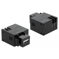 Delock 86506 vestavný modul USB Keystone Kabel 1 ks
