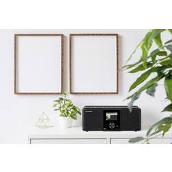 Telestar DIRA S 21i + 30-221-02 internetové stolní rádio, internetové, DAB+, FM, AUX, Bluetooth, rádiopřehrávač, USB, Wi-Fi, internet, funkce nahrávání, vč.