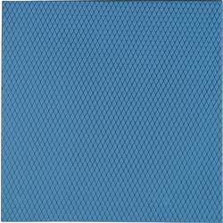 Thermal Grizzly Minus Pad Advance teplovodivá podložka nevodivý 1 mm (d x š) 100 mm x 100 mm