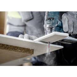 Bosch Accessories 2608901817 Pilový list Z tvrdokovu EXPERT Fiber Plaster T 141, 10 ks 10 ks