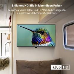 Dyon LED TV, 60 cm 24 palec, E (A - G), černá