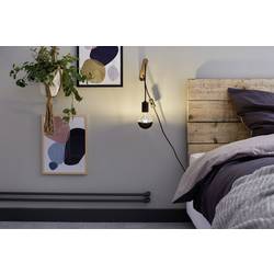 Paulmann 28676 LED Energetická třída (EEK2021) F (A - G) E27 kulatý tvar 6.5 W = 48 W teplá bílá (Ø x v) 95 mm x 138 mm stmívatelná 1 ks
