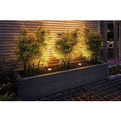 Paulmann P+S Floor insect friendly 94716 Osvětlovací systém Plug&Shine LED zahradní reflektor (rozšíření) LED 4.5 W zlatá antracitová
