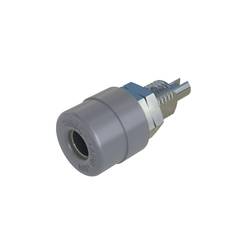 Hirschmann Test & Measurement BIL 20 gr zdířka pro banánek zásuvka, vestavná vertikální Ø pin: 4 mm šedá 1 ks Piece