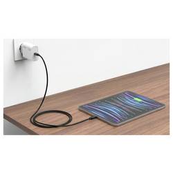 Ansmann Home Charger HC130PD USB nabíječka, 1x USB-C®, 30 W, PPS, Dodávka energie, Quick Charge, bílá