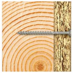 Fischer 574062 šrouby do dřevotřísky 4 mm 20 mm TX Nerezová ocel 200 ks