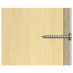 Fischer 574101 šrouby do dřevotřísky 4.5 mm 40 mm TX Nerezová ocel 200 ks