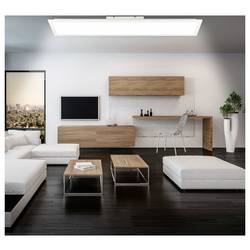 Briloner SIMPLE 7667016 LED panel 22 W neutrální bílá bílá