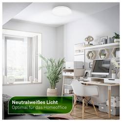 Briloner 3866016 Elipso stropní svítidlo LED LED Energetická třída (EEK2021): A (A - G) 8 W bílá