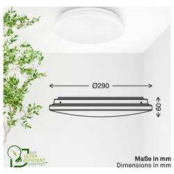 Briloner 3866016 Elipso stropní svítidlo LED LED Energetická třída (EEK2021): A (A - G) 8 W bílá