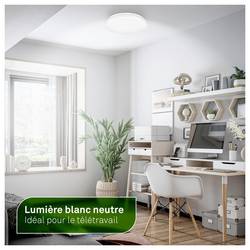 Briloner 3866016 Elipso stropní svítidlo LED LED Energetická třída (EEK2021): A (A - G) 8 W bílá