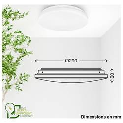 Briloner 3866016 Elipso stropní svítidlo LED LED Energetická třída (EEK2021): A (A - G) 8 W bílá