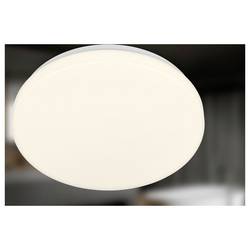 Briloner 3891016 Mojo stropní svítidlo LED LED 12 W bílá