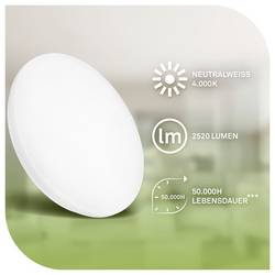 Briloner 3867016 Elipso stropní svítidlo LED Energetická třída (EEK2021): A (A - G) 12 W bílá