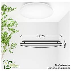 Briloner 3867016 Elipso stropní svítidlo LED Energetická třída (EEK2021): A (A - G) 12 W bílá