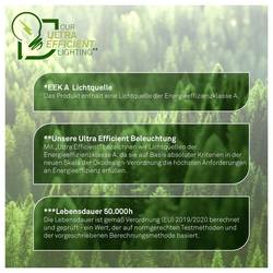 Briloner 3867016 Elipso stropní svítidlo LED Energetická třída (EEK2021): A (A - G) 12 W bílá