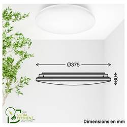Briloner 3867016 Elipso stropní svítidlo LED Energetická třída (EEK2021): A (A - G) 12 W bílá