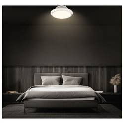 Briloner 3973016 DISON stropní svítidlo LED LED 41.5 W bílá