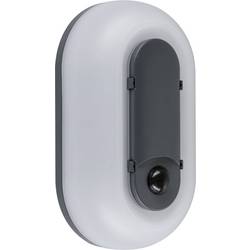 Paulmann 94958 venkovní nástěnné LED osvětlení s PIR detektorem LED 18.5 W antracitová, bílá
