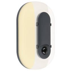 Paulmann 94958 venkovní nástěnné LED osvětlení s PIR detektorem LED 18.5 W antracitová, bílá
