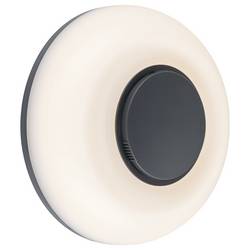 Paulmann 94955 venkovní nástěnné LED osvětlení LED 20.5 W antracitová, bílá