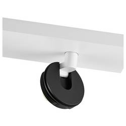 Deko Light 348268 Can Tilt Square Base osvětlení na stěnu/strop GU10 7.5 W Signální bílá (RAL 9003)