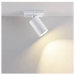 Deko Light 348264 Can Tilt Square Base osvětlení na stěnu/strop GU10 7.5 W Signální bílá (RAL 9003)