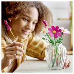 11514 LEGO® Botanicals™ Zahradní truhlík z 3 kosmetiky a 2 trajekty pružných štětin