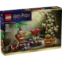 76474 LEGO® HARRY POTTER™ Zámek Hogwarts™ a rostliny z bylinné náplně. Sada pro hraní a vystavení