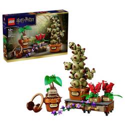 76474 LEGO® HARRY POTTER™ Zámek Hogwarts™ a rostliny z bylinné náplně. Sada pro hraní a vystavení