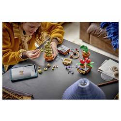 76474 LEGO® HARRY POTTER™ Zámek Hogwarts™ a rostliny z bylinné náplně. Sada pro hraní a vystavení