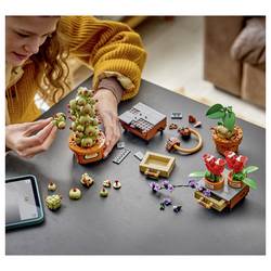 76474 LEGO® HARRY POTTER™ Zámek Hogwarts™ a rostliny z bylinné náplně. Sada pro hraní a vystavení