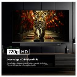 Dyon DYON Ultimax 32H-TI-WS LED TV, 80 cm 32 palec, F (A - G)