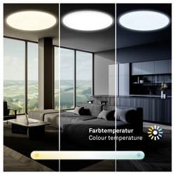 Briloner 3835016 stropní osvětlení do koupelny Energetická třída (EEK2021): F (A - G) LED LED 45 W teplá bílá, studená bílá bílá