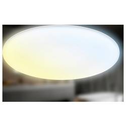 Briloner 3835016 stropní osvětlení do koupelny Energetická třída (EEK2021): F (A - G) LED LED 45 W teplá bílá, studená bílá bílá