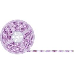 Paulmann SimpLED 78979 Kompletní sada LED pásku konektor 12 V 7.5 m RGB 1 ks