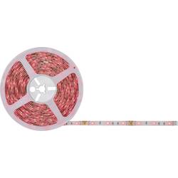 Paulmann SimpLED 78979 Kompletní sada LED pásku konektor 12 V 7.5 m RGB 1 ks