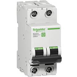 Schneider Electric M9F22204 M9F22204 elektrický jistič